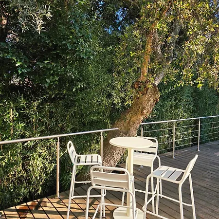 Esprit - Luxe Jardin Et Piscine 300m * קבלייר-סור-מר